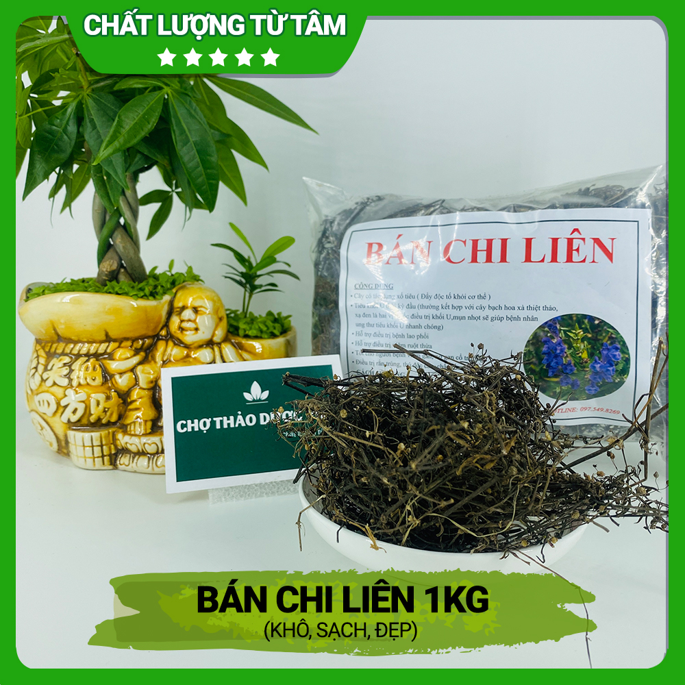 Bán chi liên khô 1kg, hỗ trợ phòng ngừa ung thư, tiêu u, giải độc, tốt cho sức khoẻ