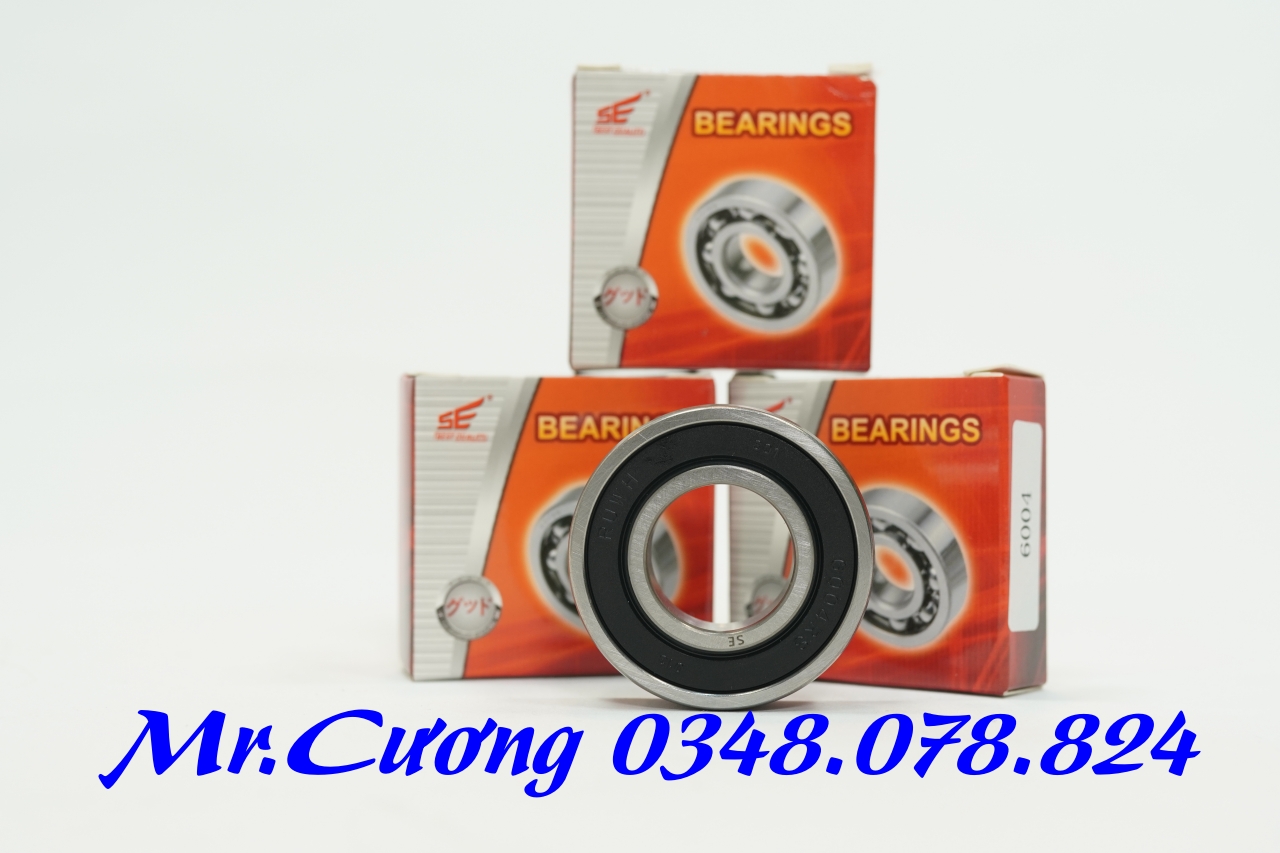 Vòng bi (bạc đạn) xe máy 6905