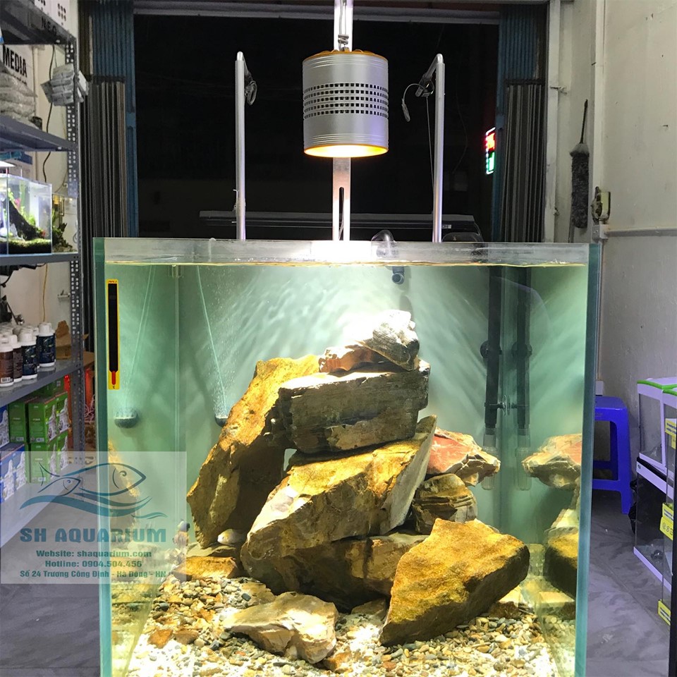 [HOÀN TIỀN 10%]GIÁ TREO ĐÈN INOX WEEK