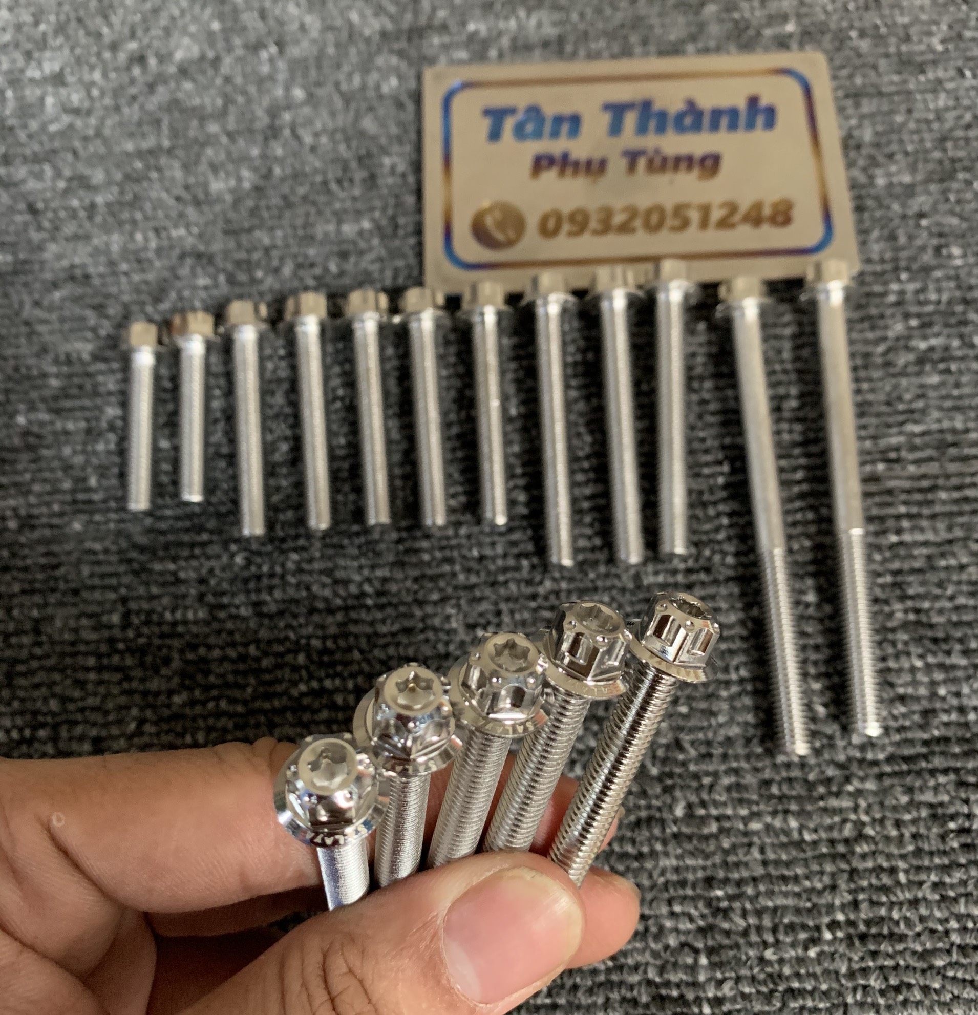 Bộ ốc lốc máy SALAYA Sirius xăng cơ (17 con)