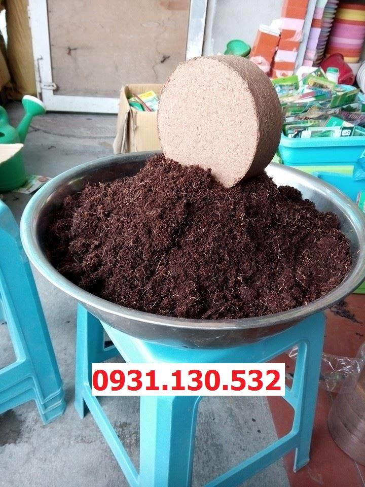 4 Viên Nén Đất Hữu Cơ Trồng Rau, Trồng Cây