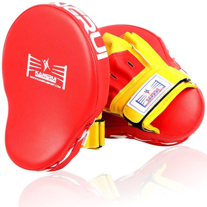 Đích đấm loại cao cấp ( 2 chiếc )