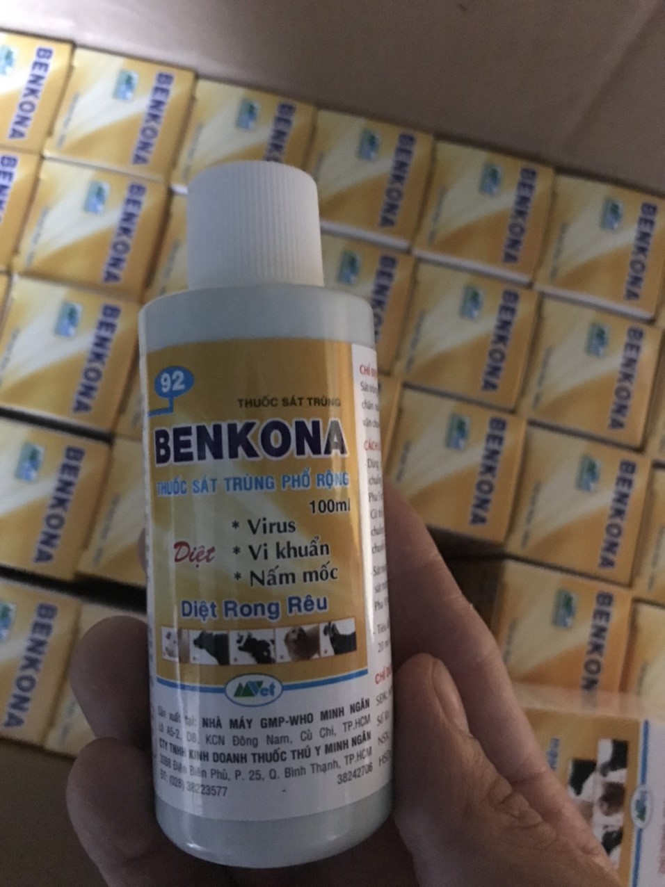 Thuốc trừ nấm khuẩn BENKONA 100ML