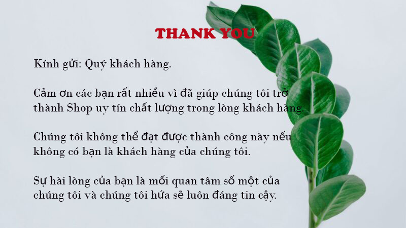 [Có sẵn] Cây Hồng Ngọc Mai, Cây Bonsai