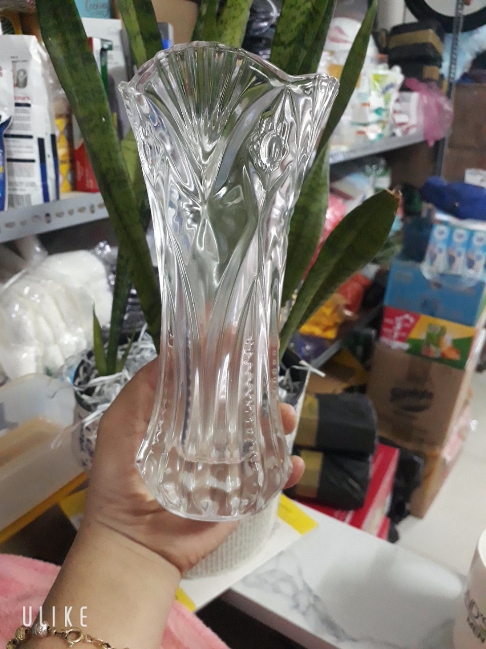 Bình bông lọ hoa thủy tinh cao 20CM #dày dặn
