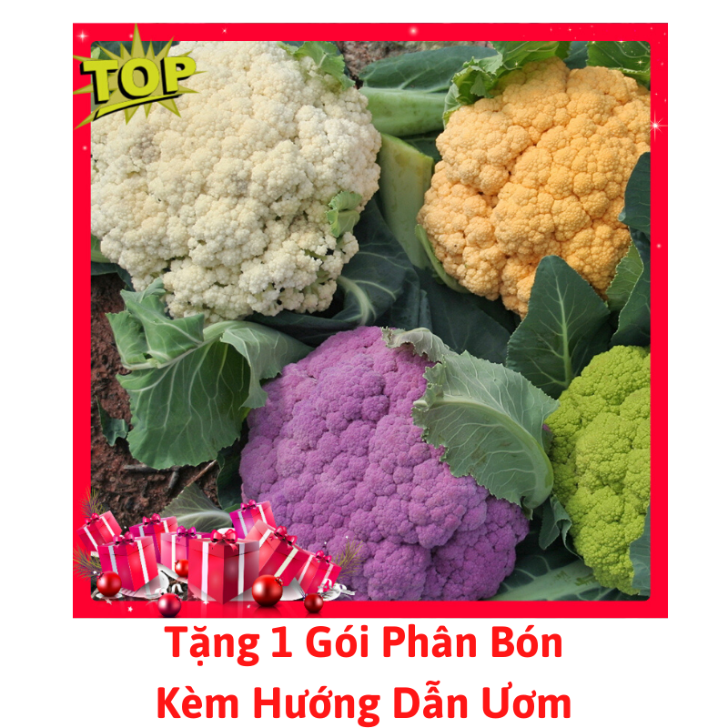 [Lấy mã giảm thêm 30%] Gói Hạt Giống Súp Lơ Mix