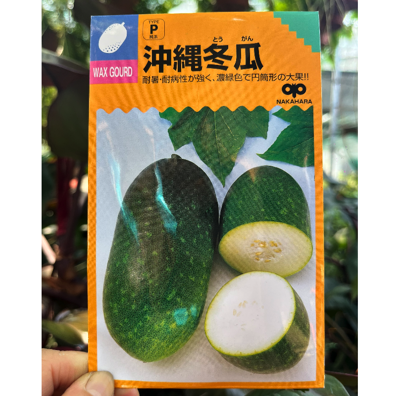 [Hạt giống Nhật Bản] Gói 10 hạt giống bí xanh Nhật Bản Okinawa