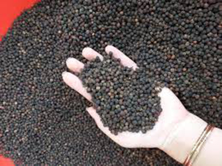 500gr hạt tiêu đen chín đỏ daklak nhà làm 100%