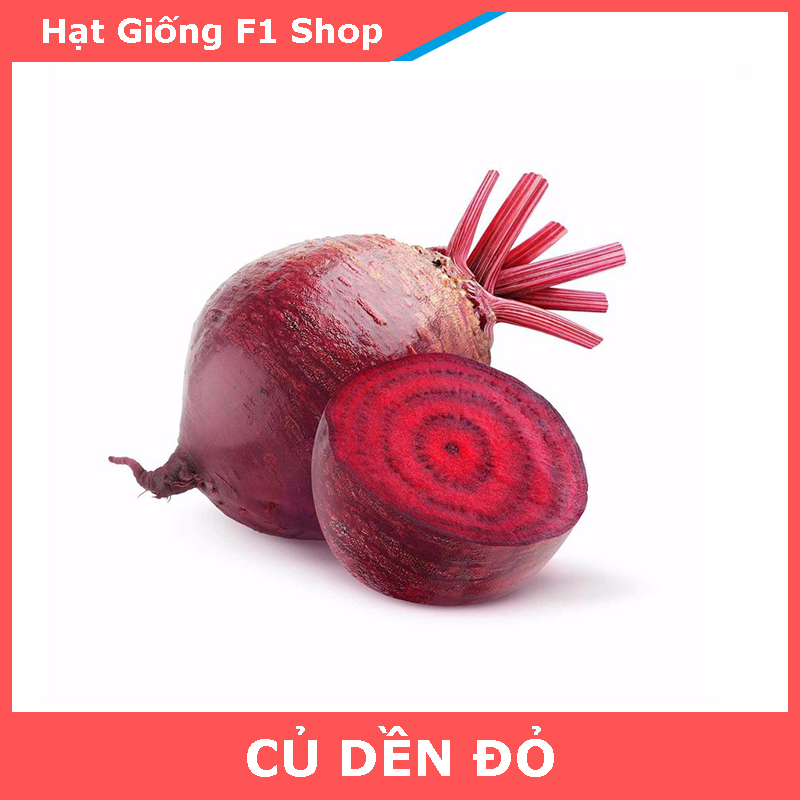 Hạt Giống Củ Dền Đỏ Lớn Củ Ăn Ngon