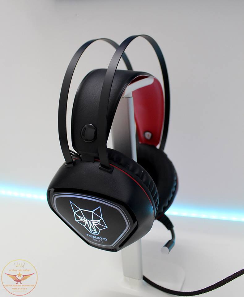 Tai nghe Tomato SK21