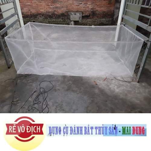 tráng nuôi ốc nhồi mới nở 2x1x0,6