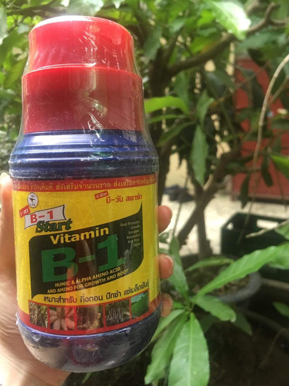 Vitamin B1 - Công thức siêu ra rễ (500ml)