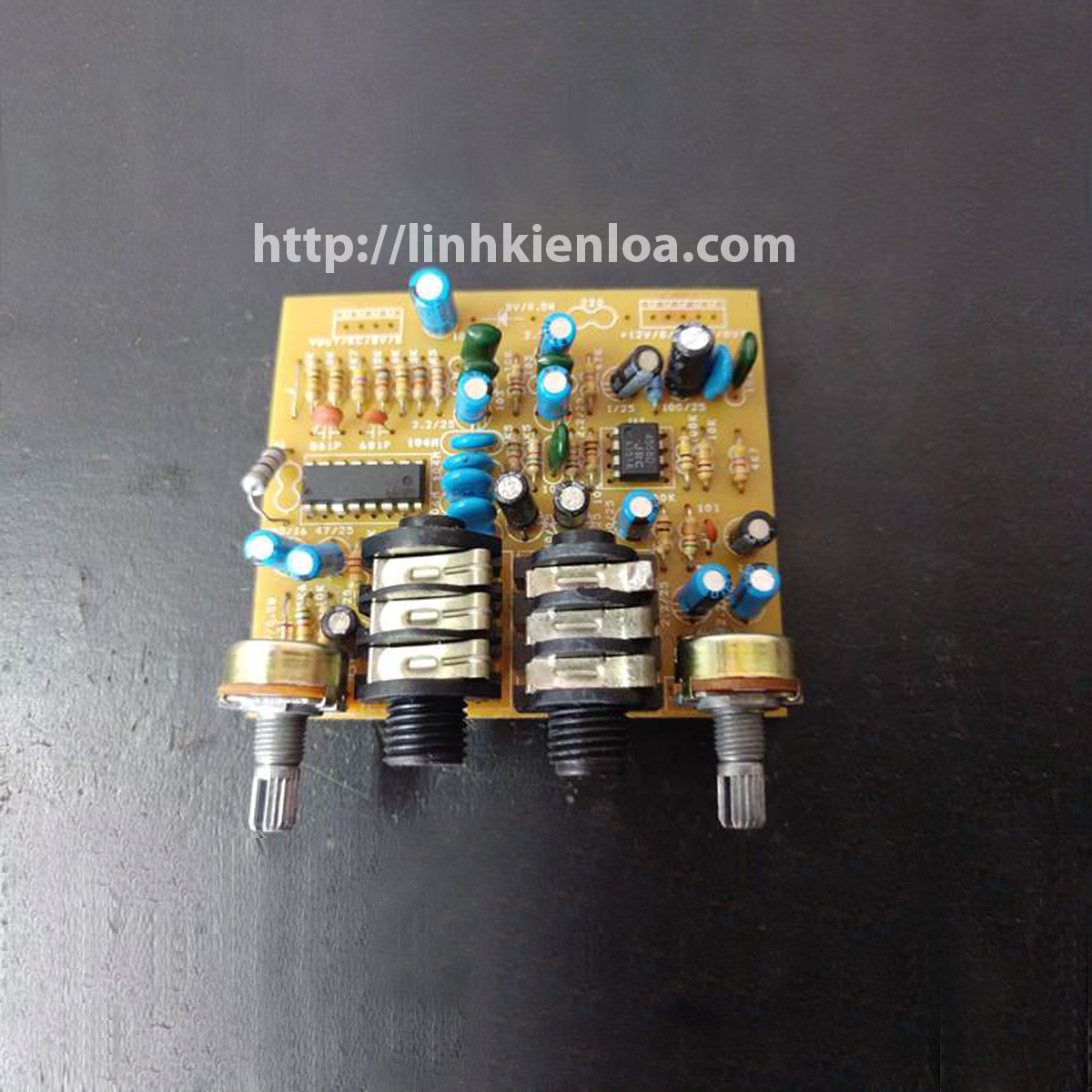 2 microphone & Echo PT 2399 amplifier circuit