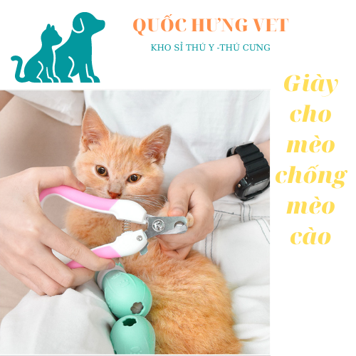 Miếng bọc chân cho chó mèo - QUỐC HƯNG VET