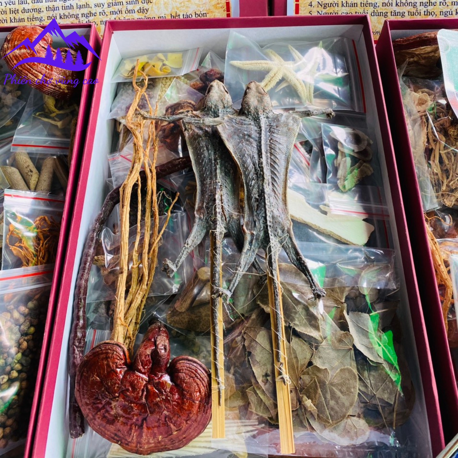 Minh mạng thang 40 vị tôn thất thống. Thang nhất dạ ngũ giao. Đồ ngâm rượu thuốc bổ thận tráng dương, tăng cường sinh lý nam