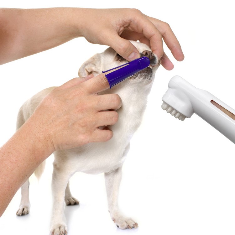 Bộ Bàn Chải Đánh Răng Chăm Sóc Răng Miệng Cho Thú Cưng