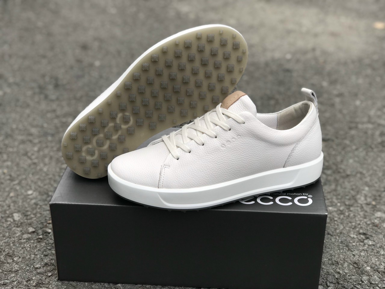 Socks gift - Freeship - Ecco  Golf Shoes Unisex [Leather] [ Waterproof]