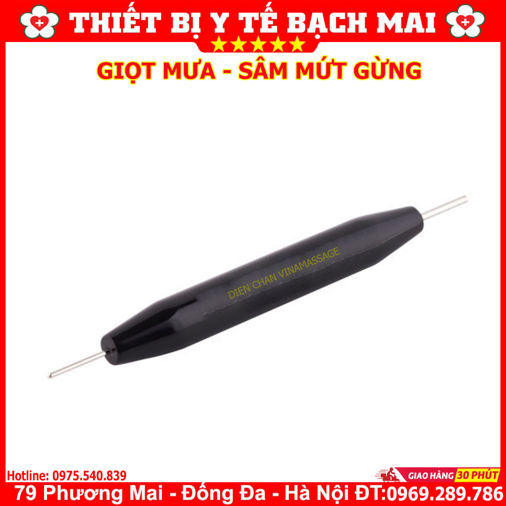 Cây Giọt Mưa Diện Chẩn - Xâm Mứt Gừng