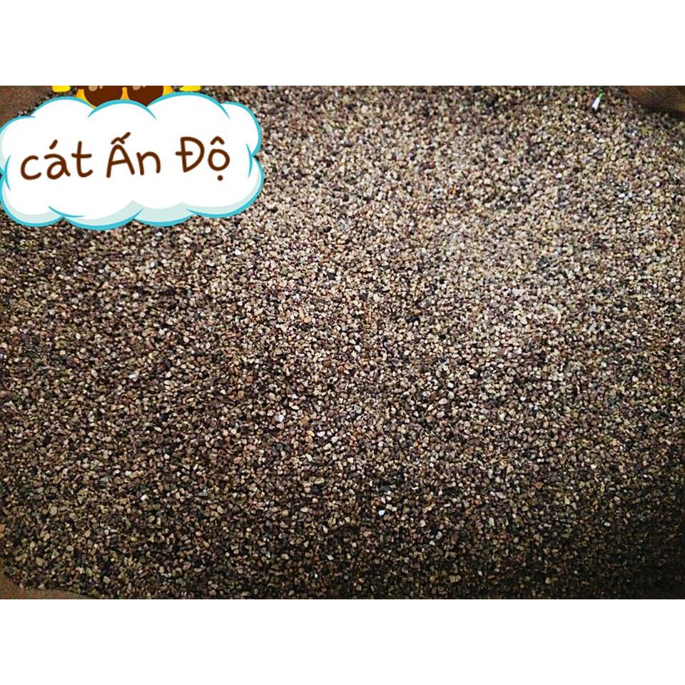 Indian Sand (Brown Buddy - India) - Bedding for Hamsters, Fat Tails,... - T3 Pets Shop
