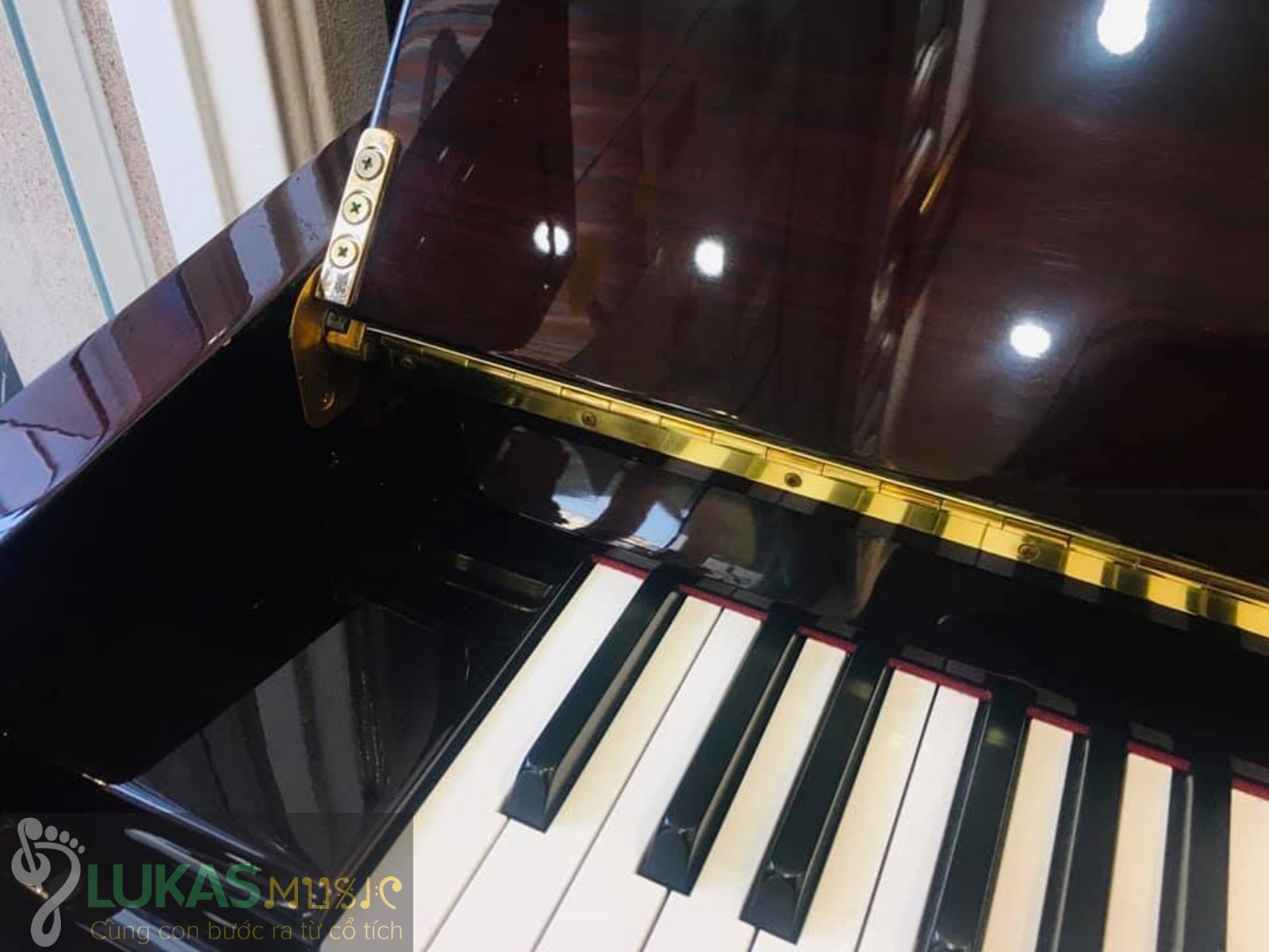 [HCM]ĐÀN PIANO STEINBURG - MP-119FCD