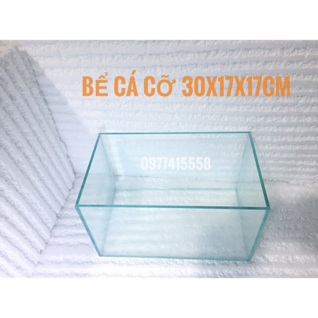 Bể cá mini -Bể cá cảnh trang trí để bàn 30cm
