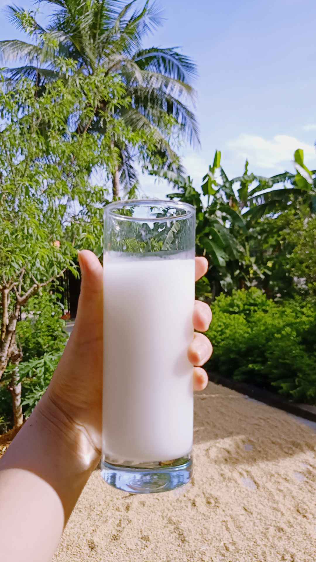 Bột sắn dây nguyên chất 100% [Hộp 500g]