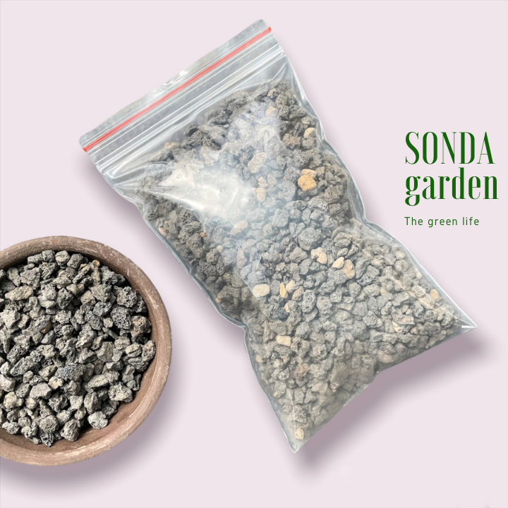 ĐÁ NHAM THẠCH ĐEN (1kg) SIÊU PHẨM CHO SEN ĐÁ