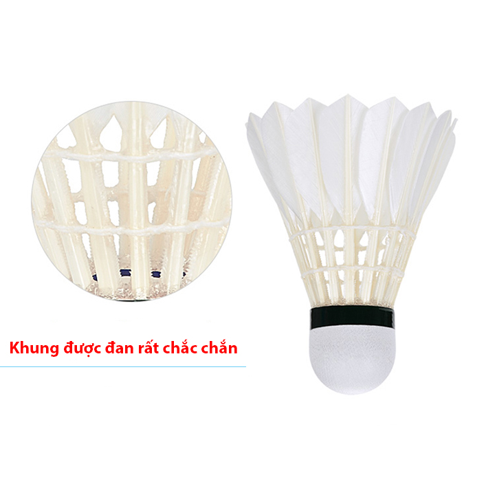 Ống cầu lông Hải Yến 6 quả