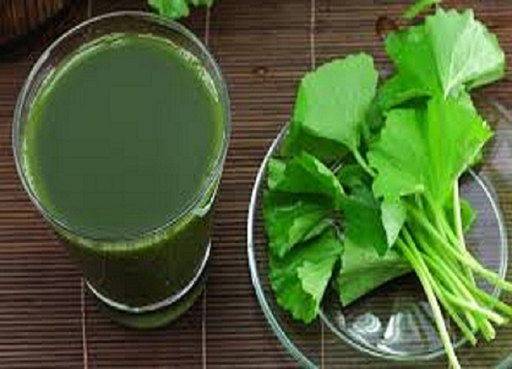 BỘT RAU MÁ NGUYÊN CHẤT MẸ KEN-Gói 100gr