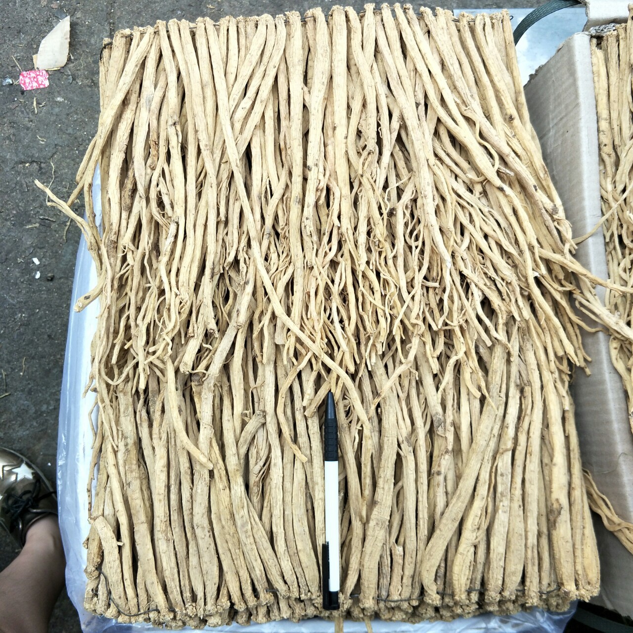 Đẳng Sâm Khô 100Gr ( Đảng Sâm )