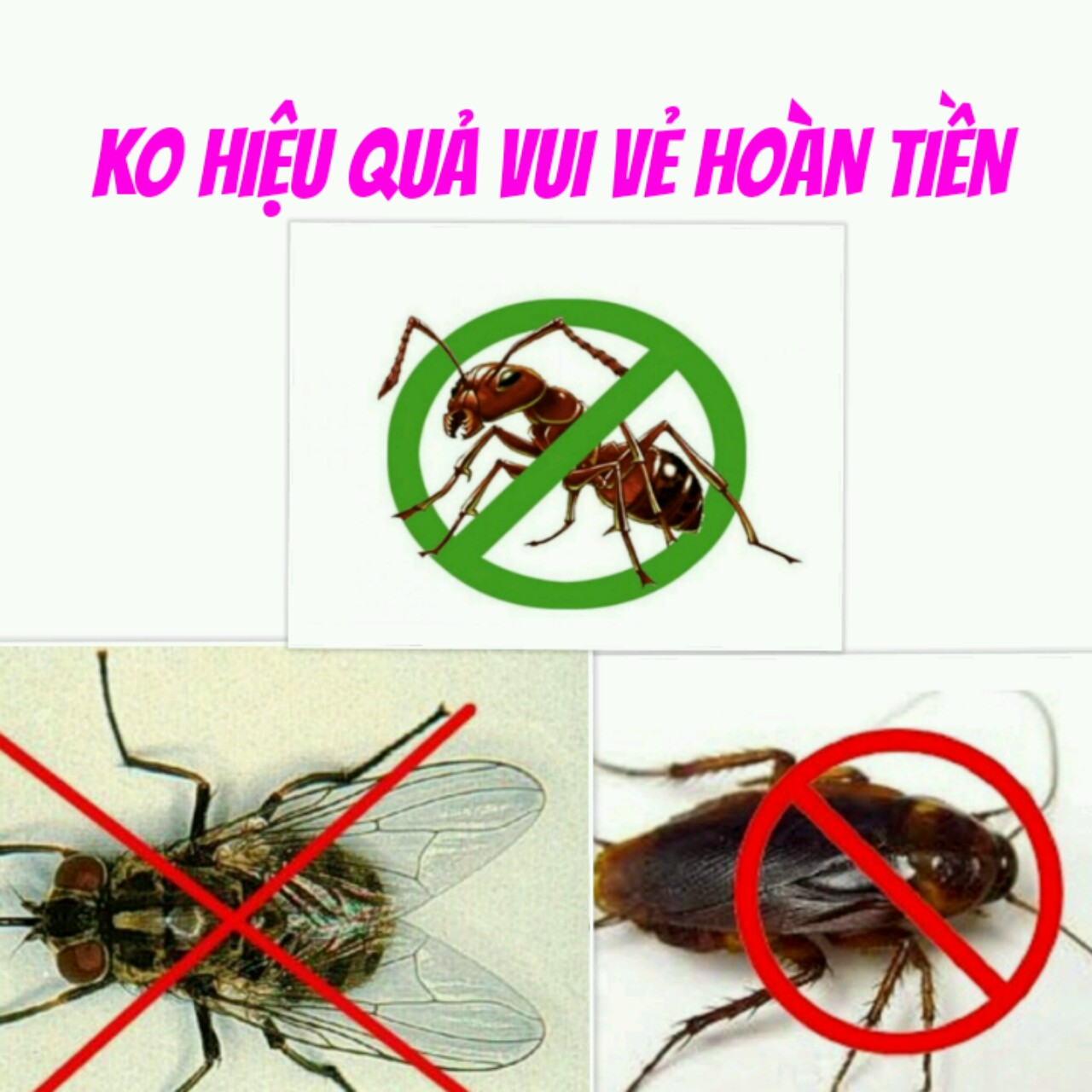 COMBO 3 LOẠI THUỐC DIỆT KIẾN, GIÁN, RUỒI