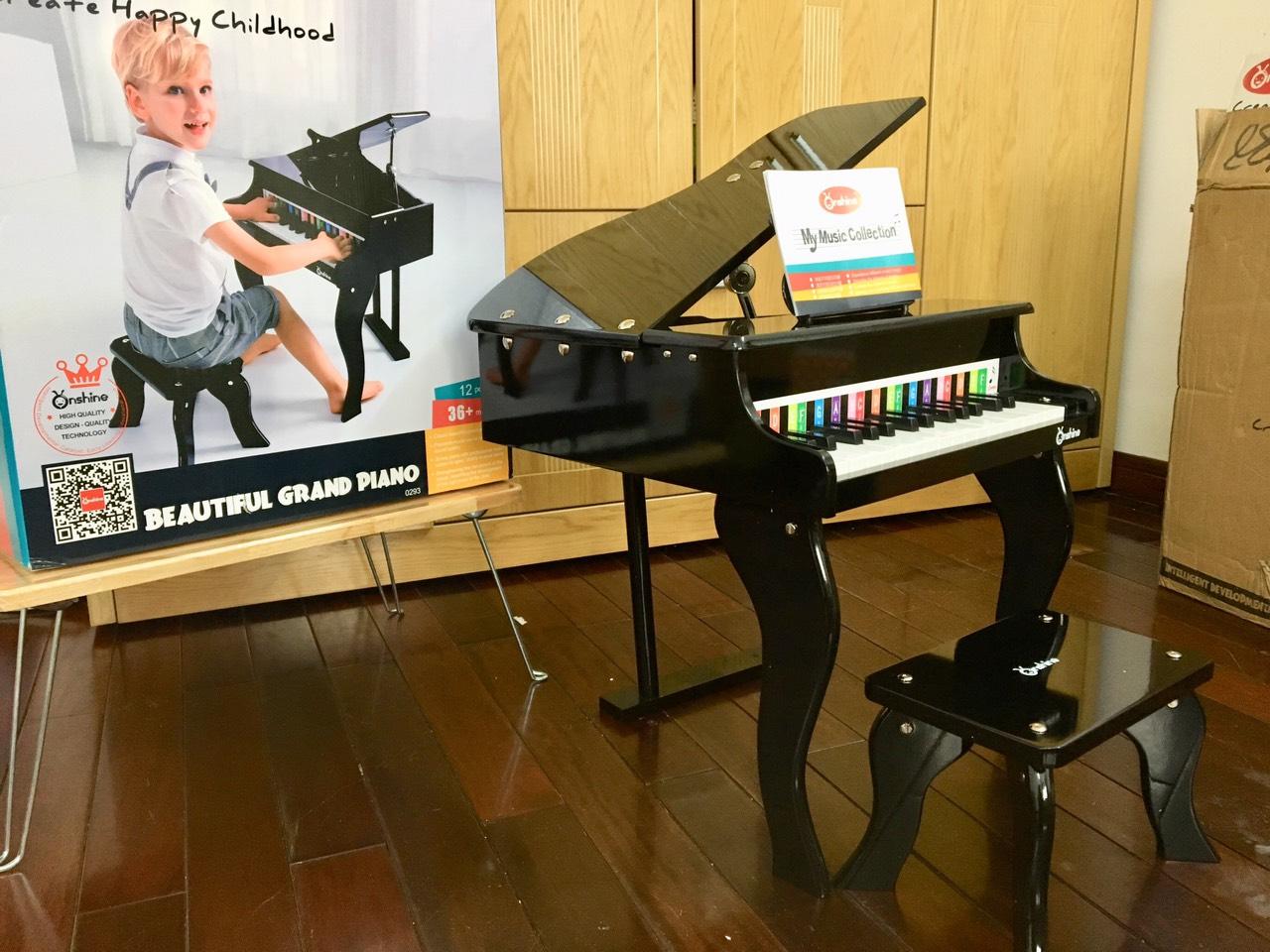 Đàn piano gỗ cao cấp cho Bé