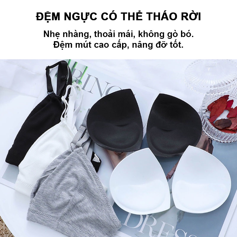 Áo Bra Nữ Cotton Có Mút Ngực Freesize HAVENA AC24