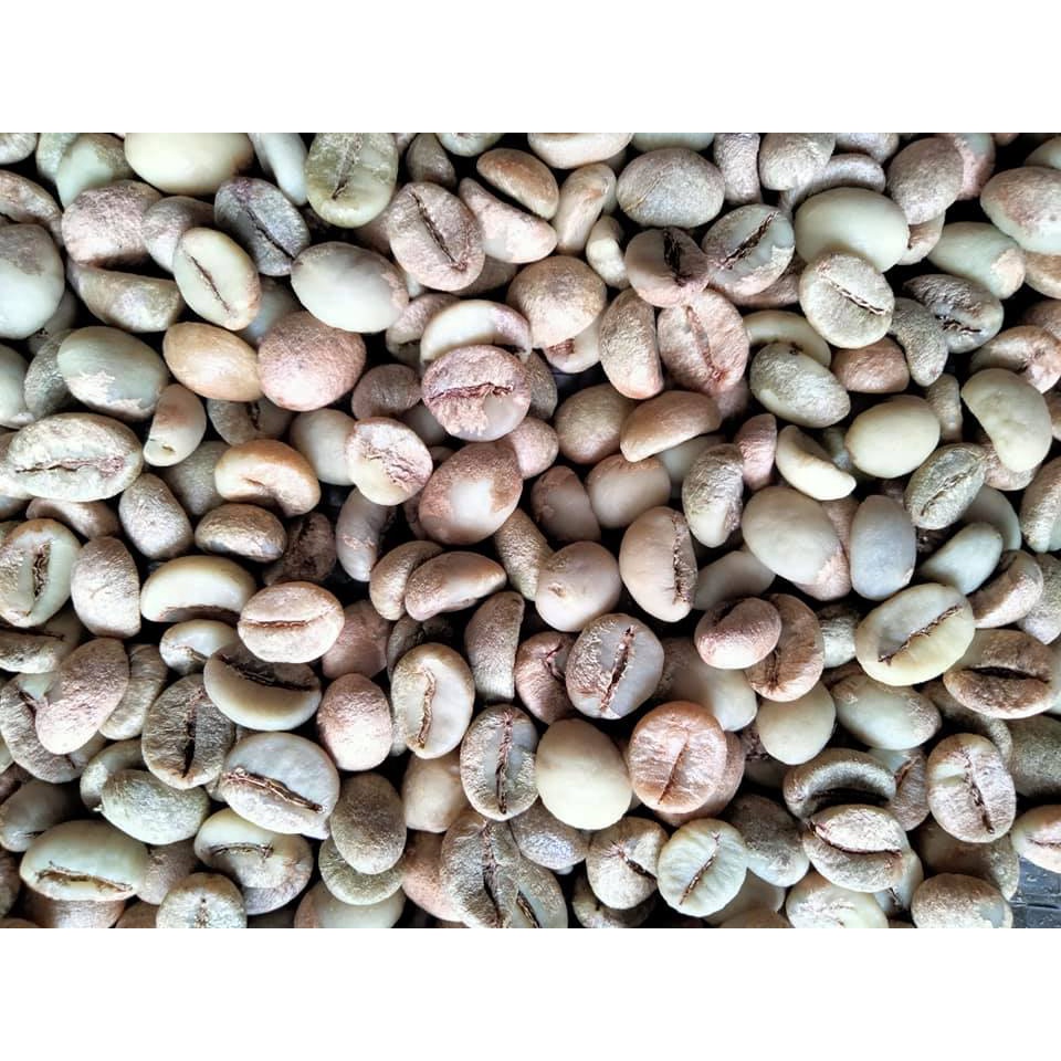 500g cà phê nhân robusta