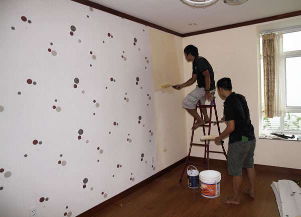 Keo bột dán giấy dán tường