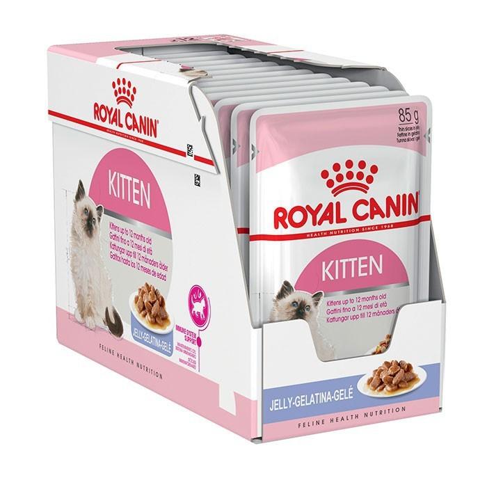 Pate cho mèo con Royal Canin Kitten túi 85 gam, pate cho mèo con dưới 12 tháng tuổi