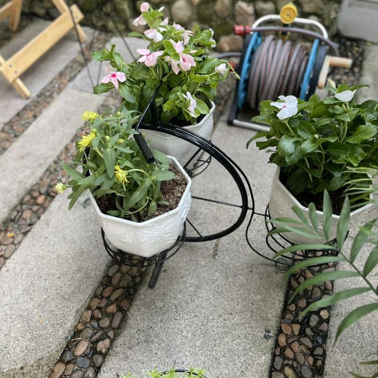 [HCM][GREEN HOUSE] Combo 5 Chậu hoa mây để bàn trắng 17cm