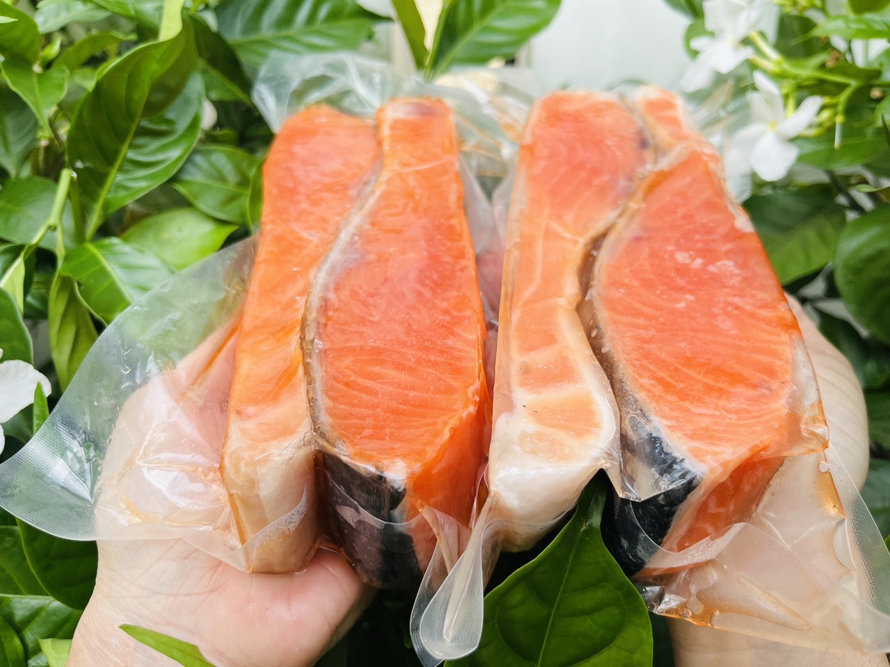 Giá sỉ 1kg cá hồi nauy - phi-le