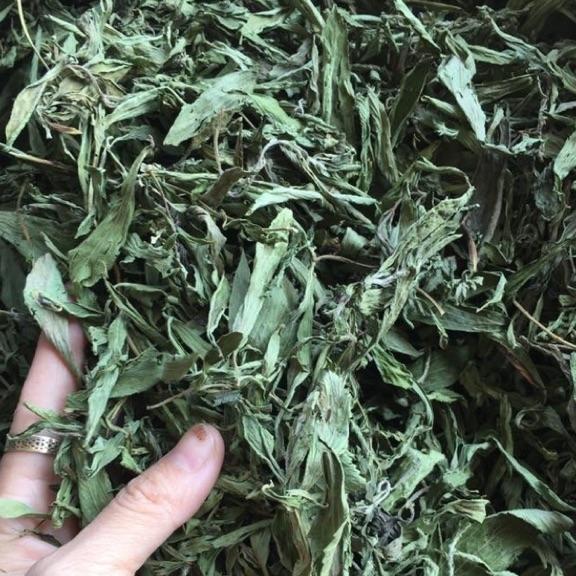 100g trà cỏ ngọt