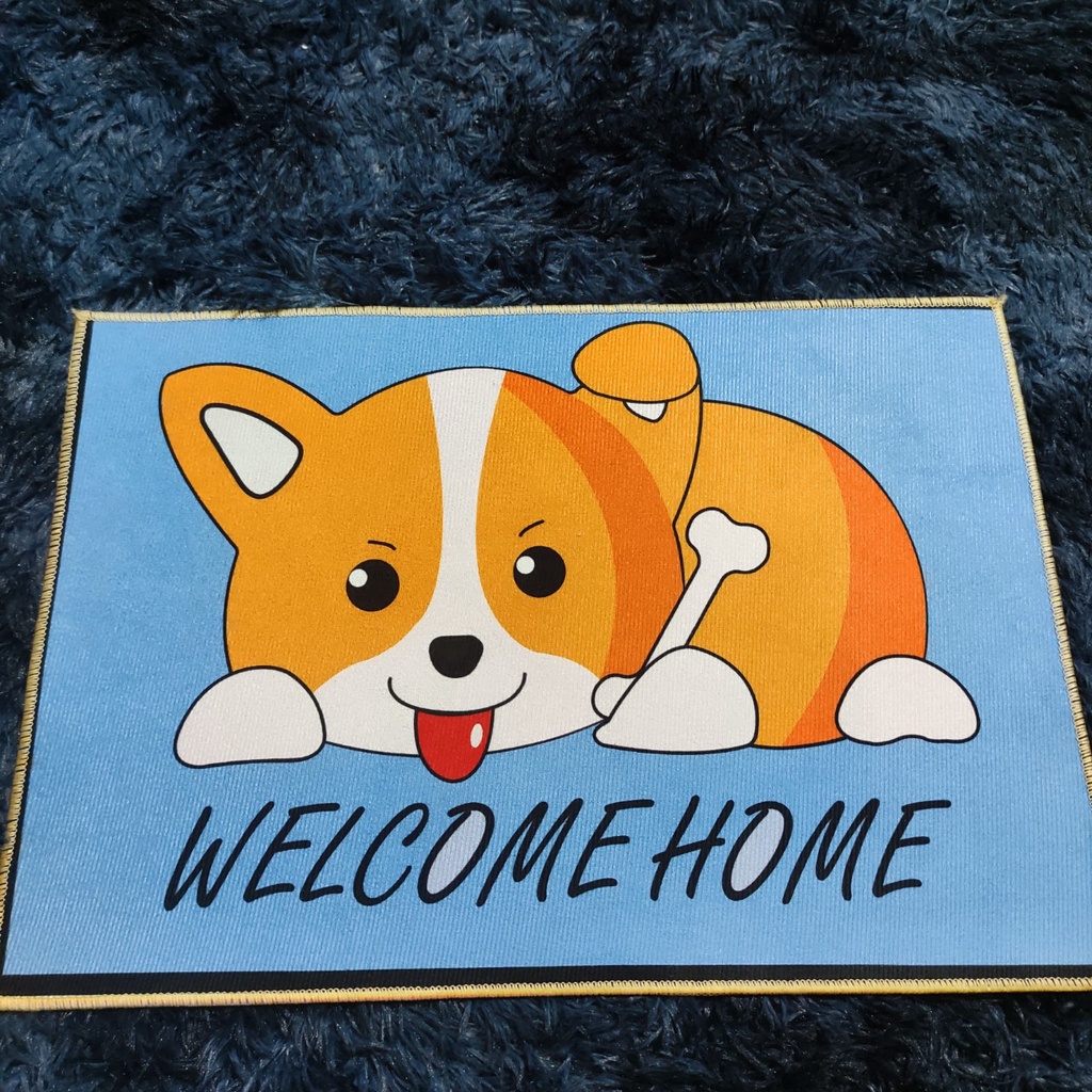 ( Siêu Sale ) Thảm Bali lau chân 3D ,thảm chùi chân 40x60cm