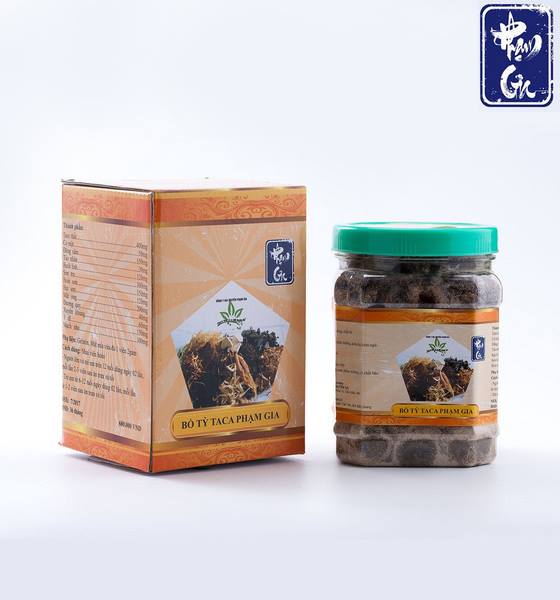BỔ TỲ TACA PHẠM GIA SỈ VÀ LẺ
