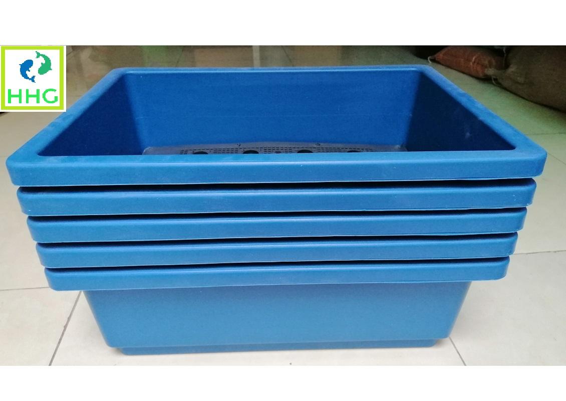 5 KHAY NHỰA TRỒNG RAU KÍCH THƯỚC 47X33X16CM - MÀU XANH