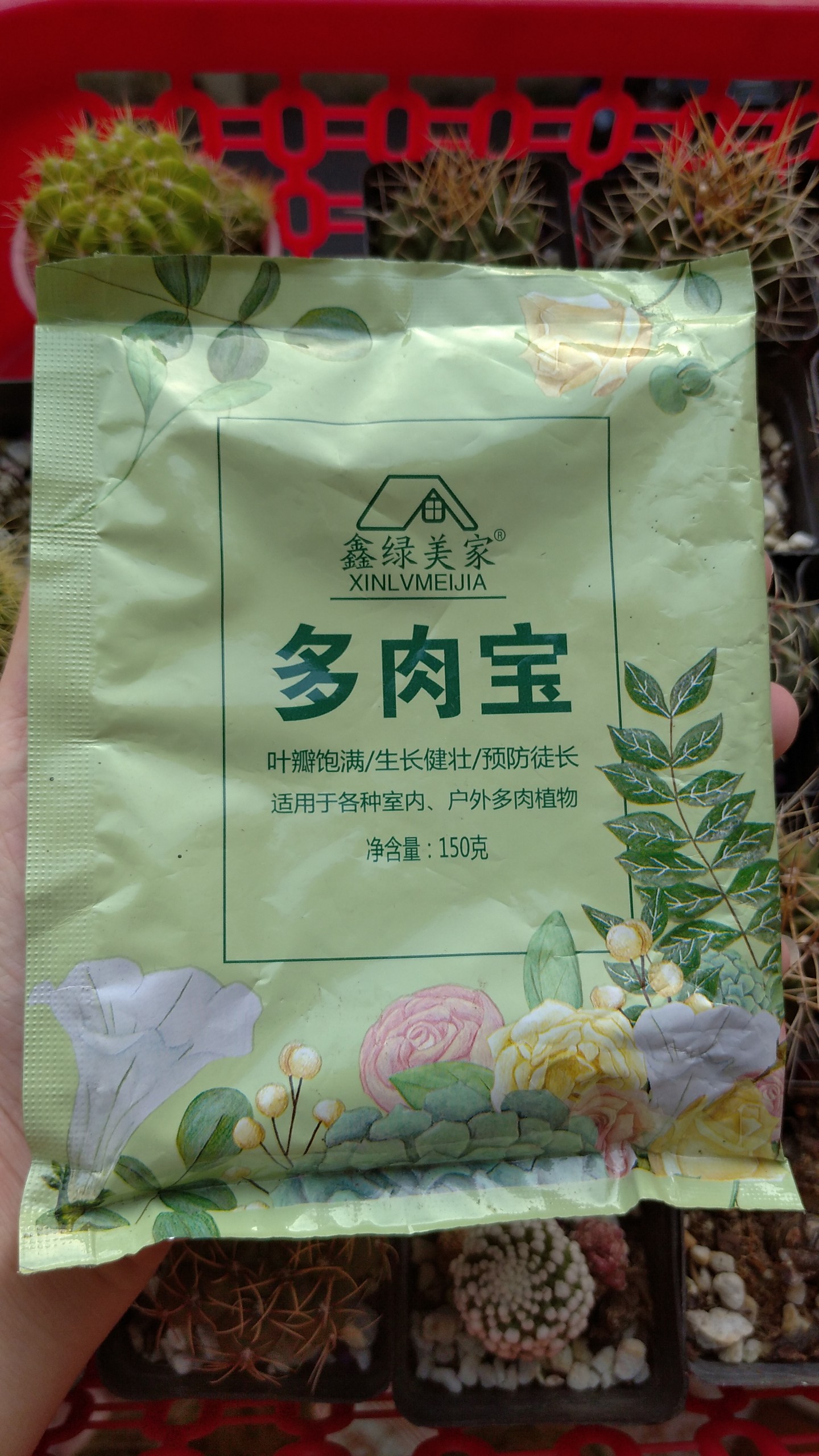 Phân bón tan chậm cho sen đá, xương rồng mập ú