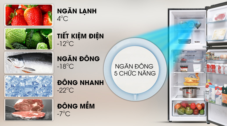 [TRẢ GÓP 0%] Tủ lạnh LG Inverter 264 lít GV-D262BL (Giá áp dụng giao tại HN, HCM& các tỉnh liên hệ shop)