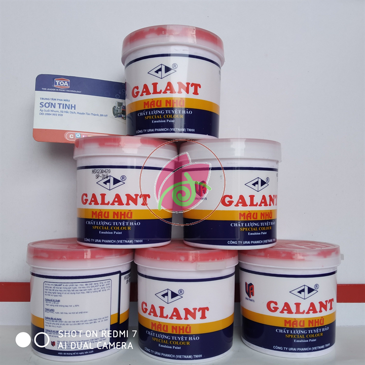 Combo 5 ve màu Galant (Xanh lá, Đỏ, Vàng, Xanh dương, Đen)