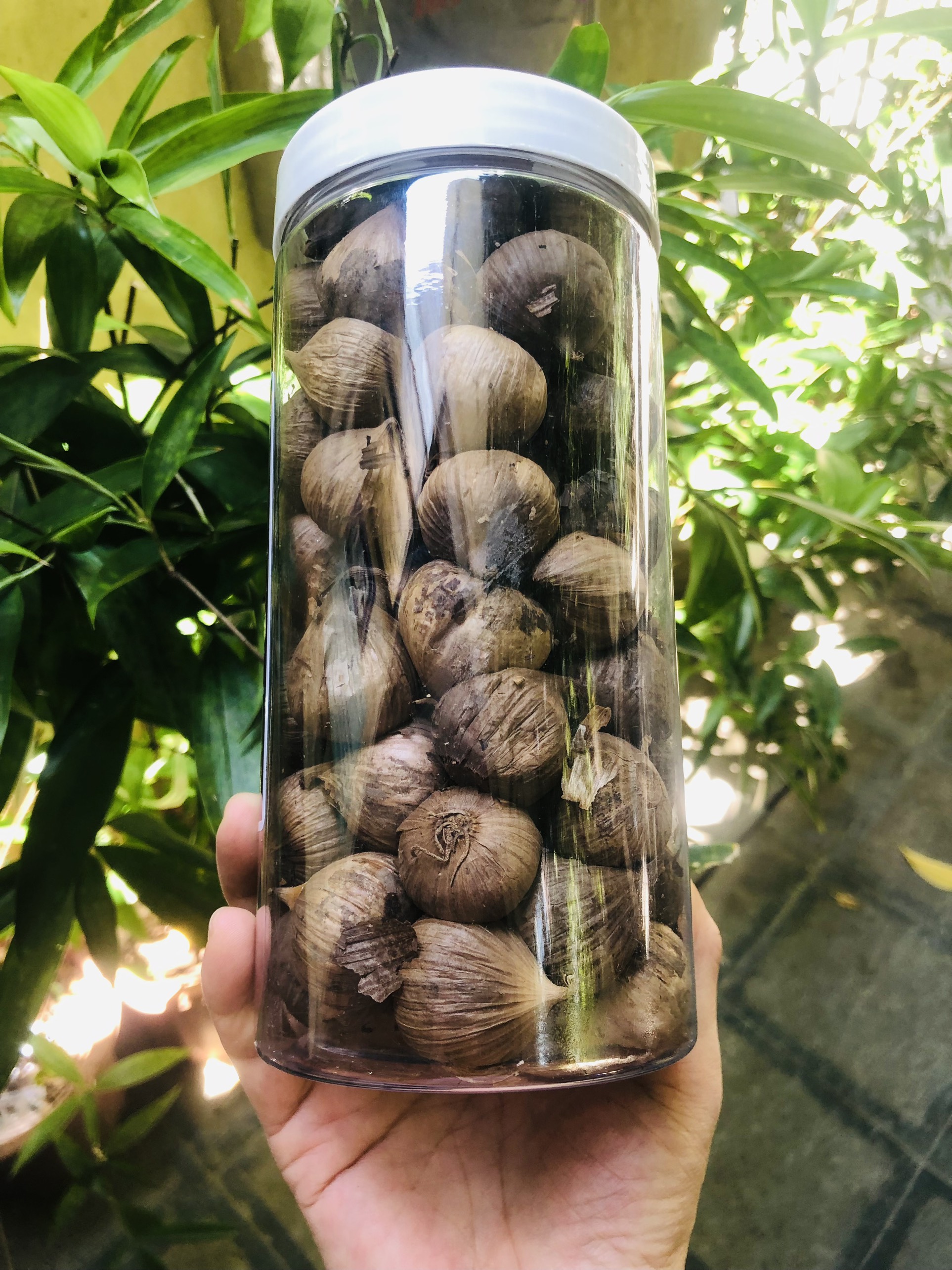 Hộp tỏi đen Sơn La 500gr (Tỏi cô đơn)