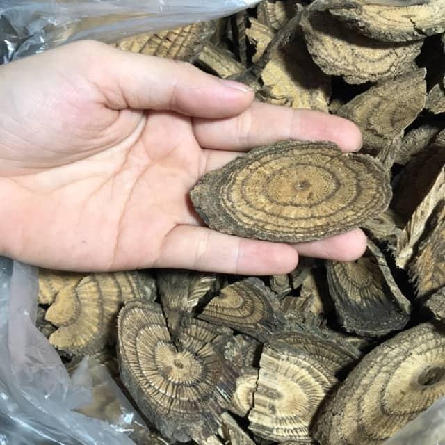 Dây Gắm Gút, xương khớp 500g