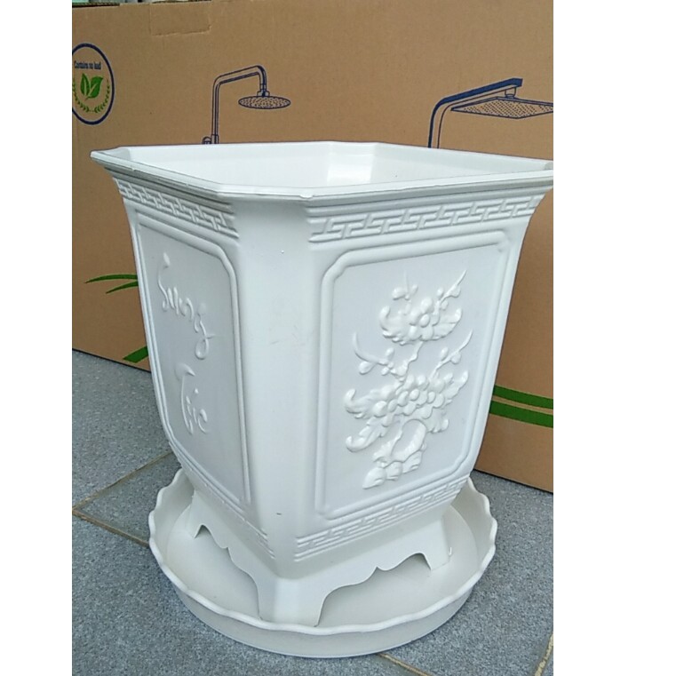 Chậu trồng cây tứ quý, chậu vuông