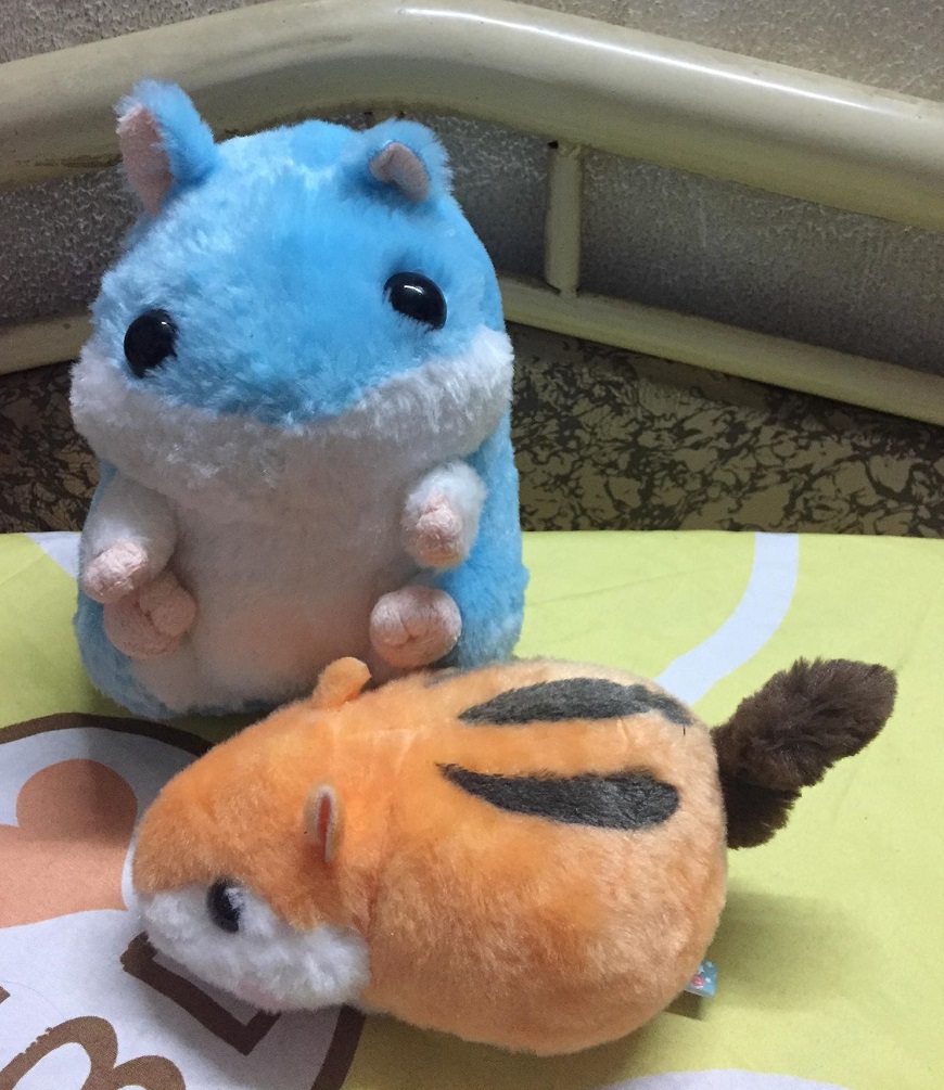 [HCM]Gấu bông chuột lang hamster dễ thương