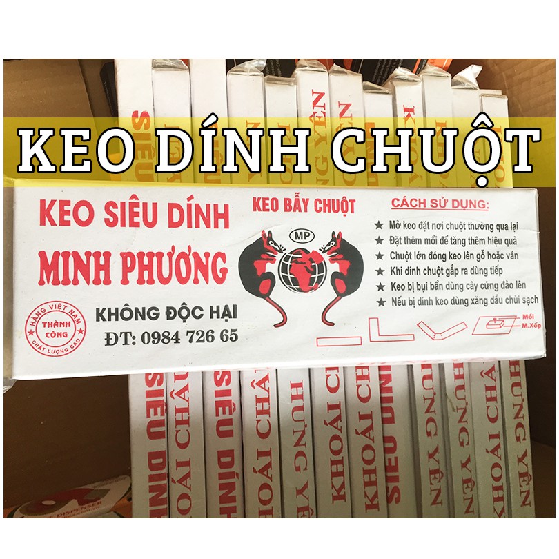 5 hộp keo siêu dính chuột MP